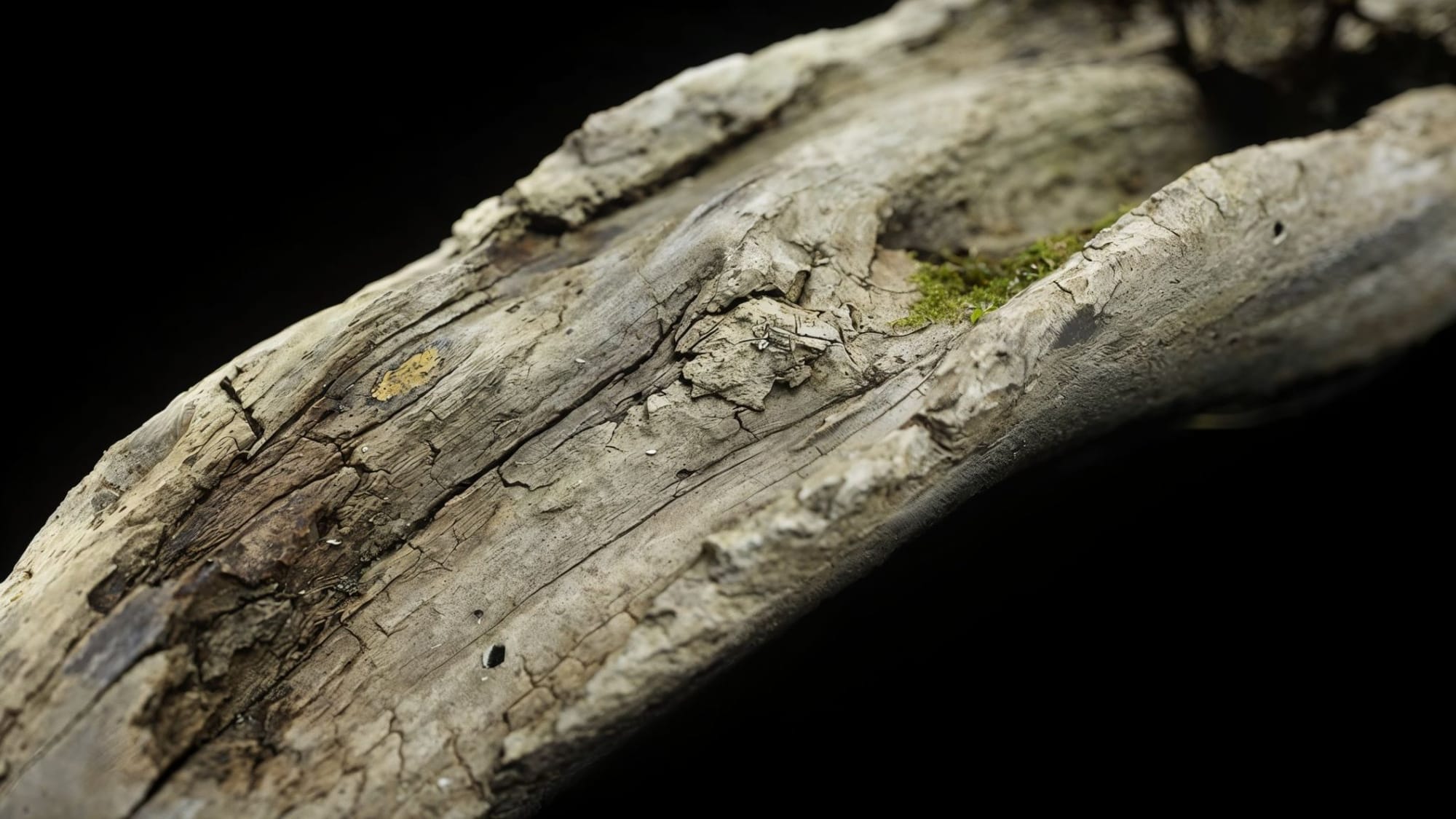 Chroma 0127 - In Which You Might Be Better Off Going to School to Study VFX - Part 1