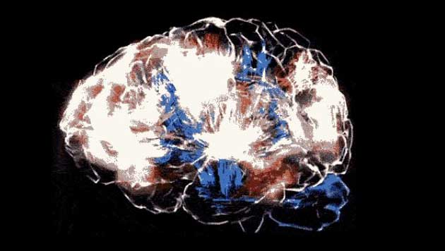 Chroma 0276 - In Which Alpha Chromatica Education Students Had A Few Things to Say About Mentor Q Park