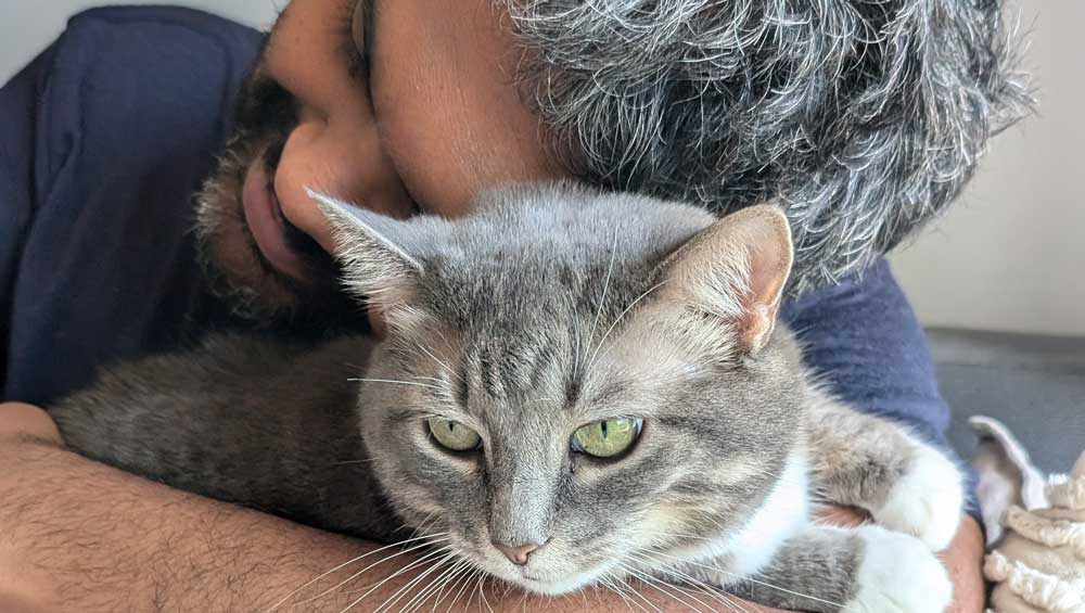 Chroma 0331 - In Which the Author Talks about those Return to Office Mandates