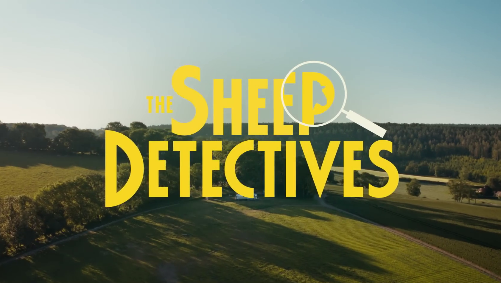 The Sheep Detectives